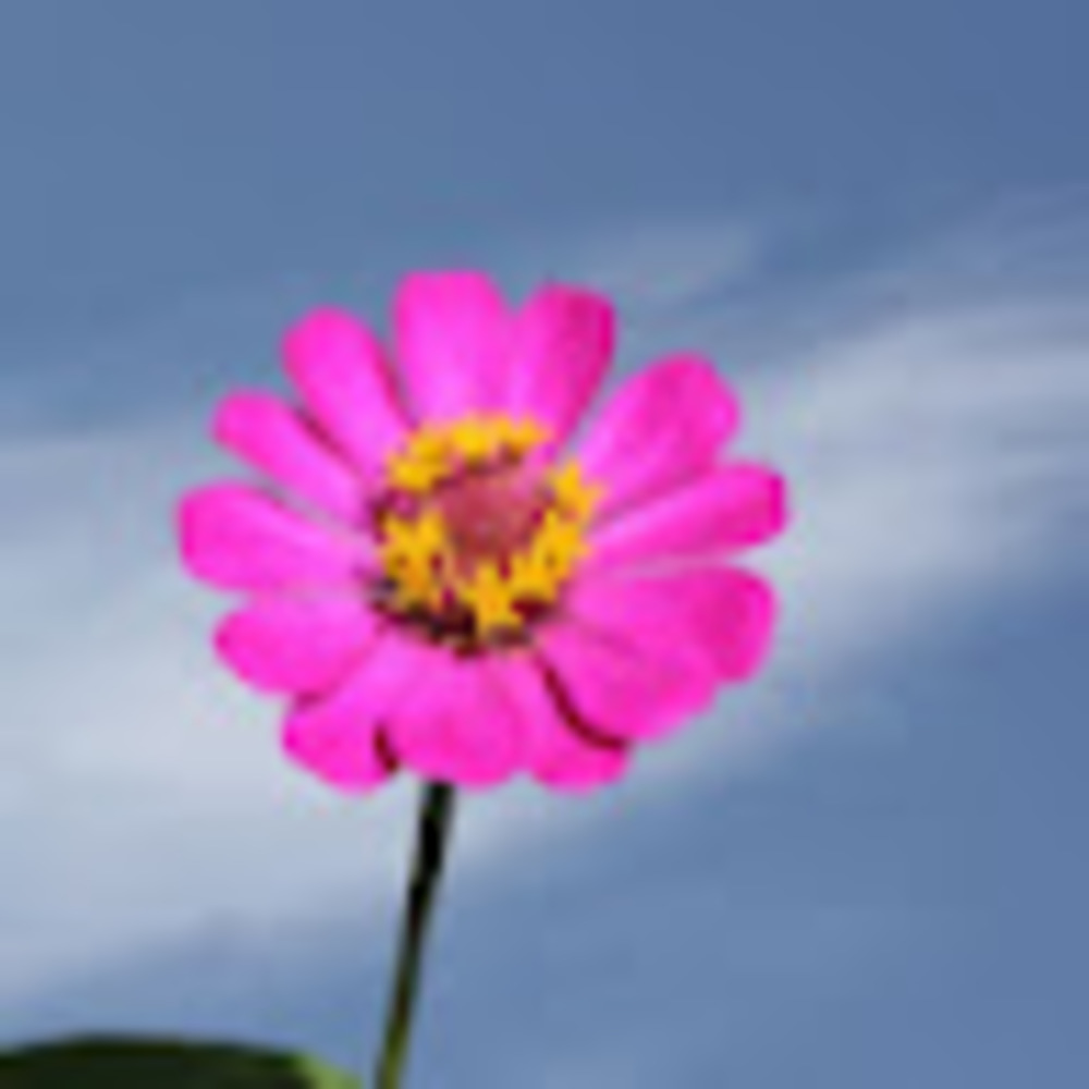 Meet your Posher, Katelen